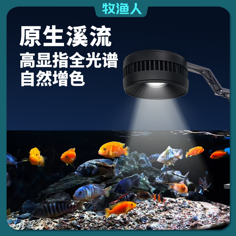 水族植物筒灯