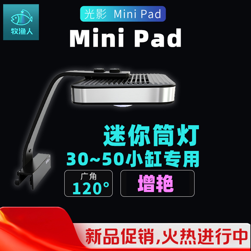 mini Pad